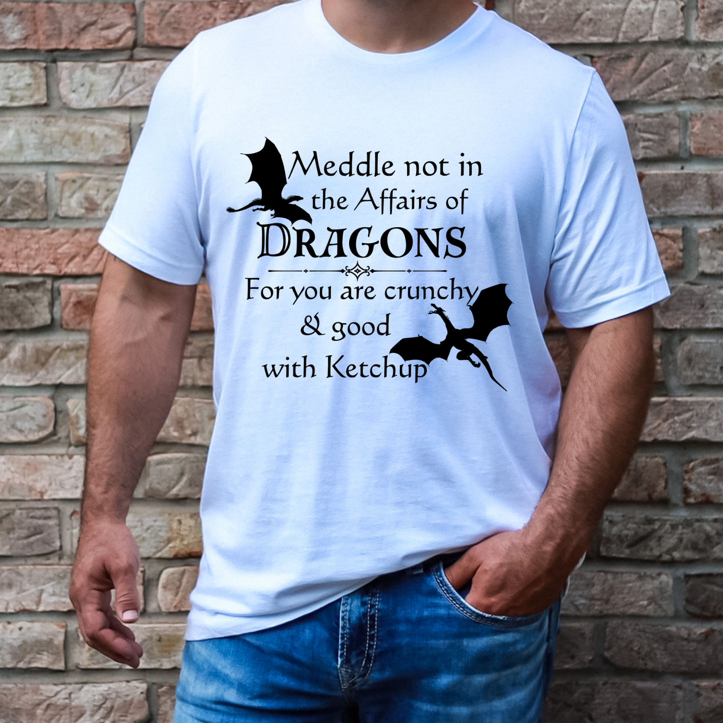 Meddle Not With Dragons T-Shirt